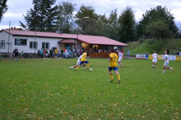 Punktspiel 2011 FSV - Langenfeld