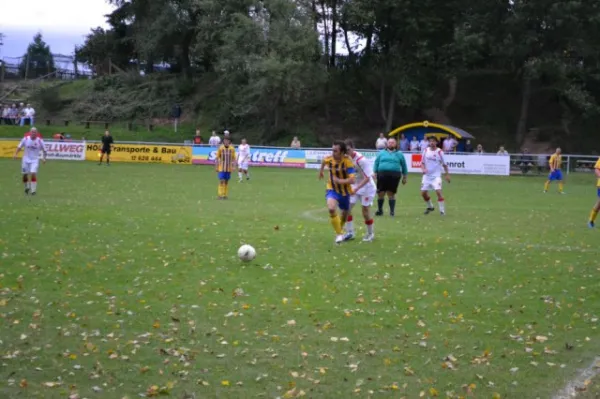 Punktspiel 2011 FSV - Langenfeld