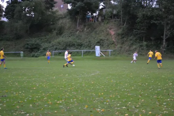 Punktspiel 2011 FSV - Langenfeld