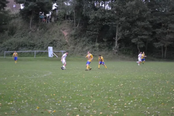 Punktspiel 2011 FSV - Langenfeld