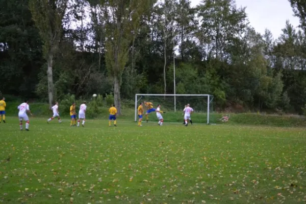 Punktspiel 2011 FSV - Langenfeld