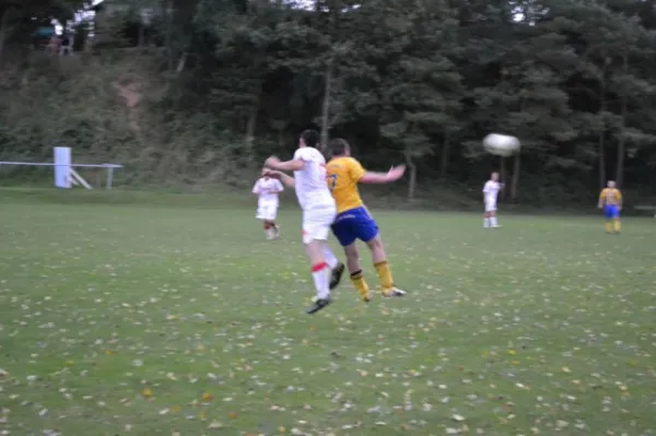 Punktspiel 2011 FSV - Langenfeld