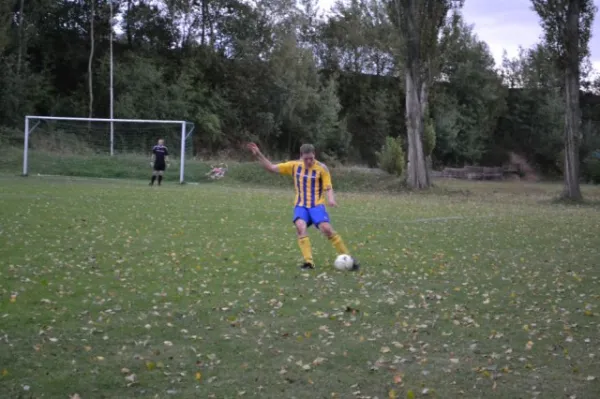 Punktspiel 2011 FSV - Langenfeld