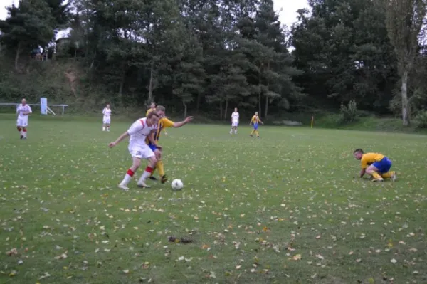Punktspiel 2011 FSV - Langenfeld