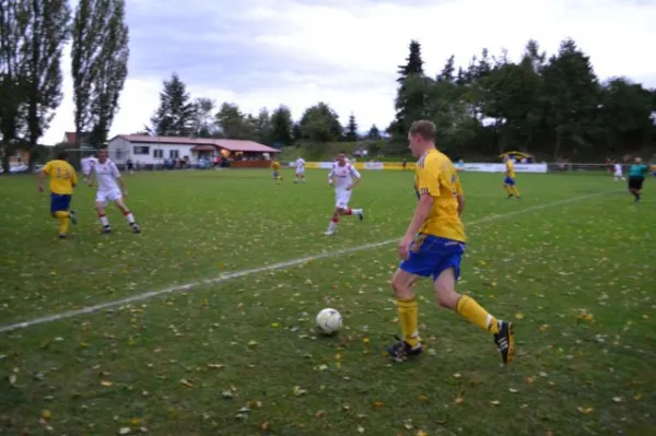 Punktspiel 2011 FSV - Langenfeld