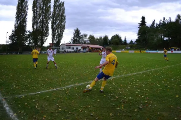Punktspiel 2011 FSV - Langenfeld