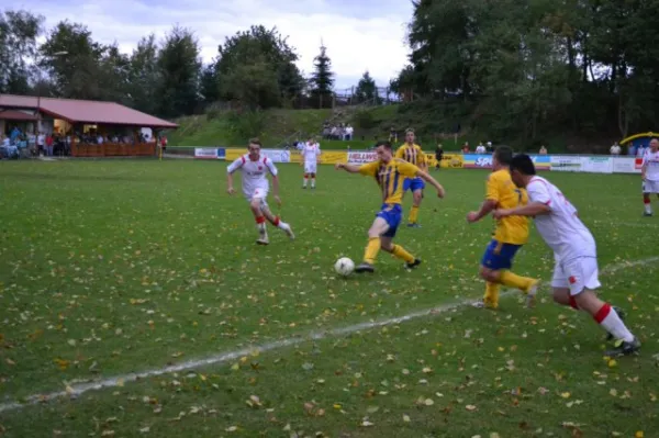 Punktspiel 2011 FSV - Langenfeld