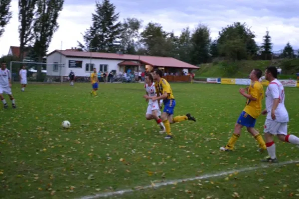 Punktspiel 2011 FSV - Langenfeld
