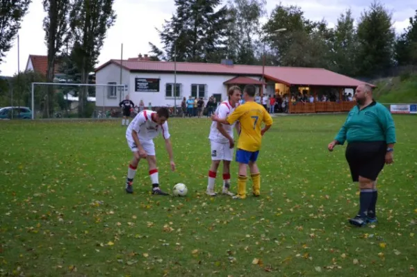 Punktspiel 2011 FSV - Langenfeld