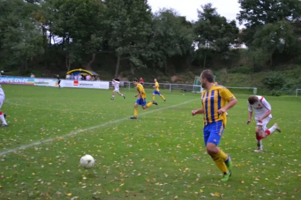 Punktspiel 2011 FSV - Langenfeld