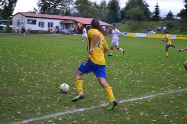 Punktspiel 2011 FSV - Langenfeld