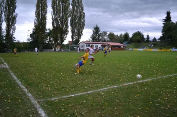 Punktspiel 2011 FSV - Langenfeld