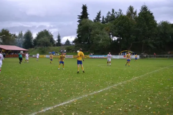 Punktspiel 2011 FSV - Langenfeld