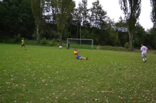 Punktspiel 2011 FSV - Langenfeld