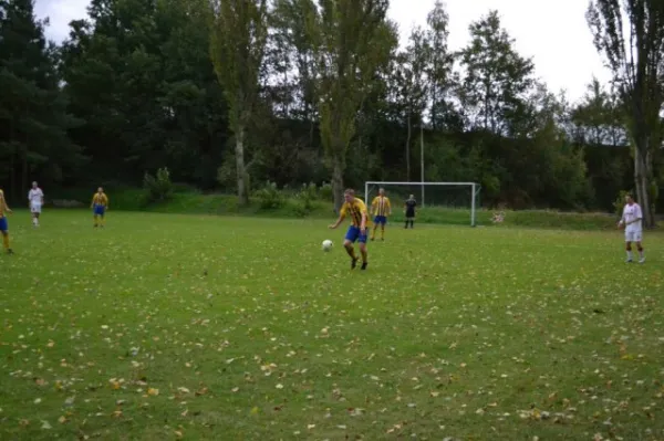 Punktspiel 2011 FSV - Langenfeld