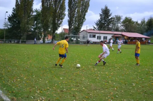 Punktspiel 2011 FSV - Langenfeld