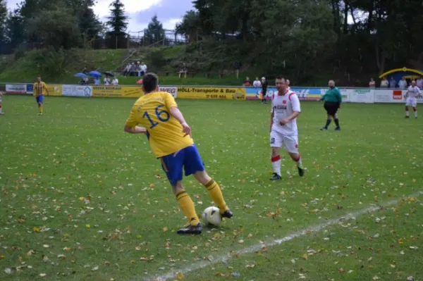 Punktspiel 2011 FSV - Langenfeld