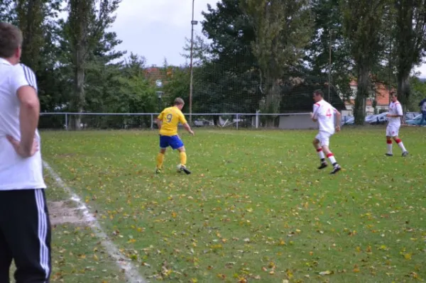Punktspiel 2011 FSV - Langenfeld
