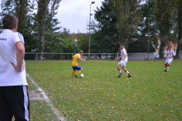 Punktspiel 2011 FSV - Langenfeld