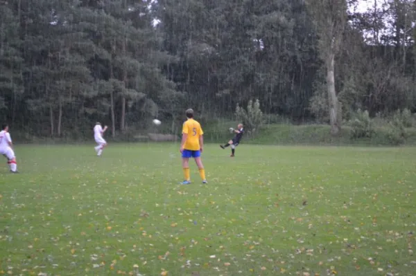 Punktspiel 2011 FSV - Langenfeld