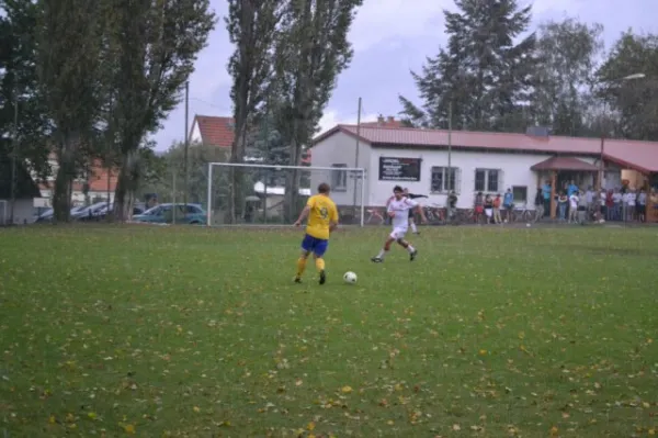 Punktspiel 2011 FSV - Langenfeld