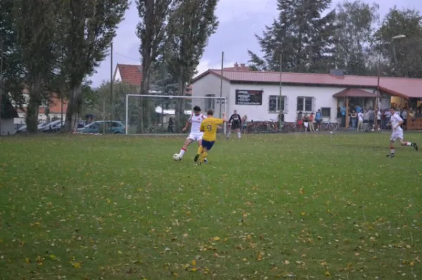 Punktspiel 2011 FSV - Langenfeld