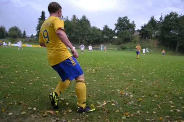 Punktspiel 2011 FSV - Langenfeld