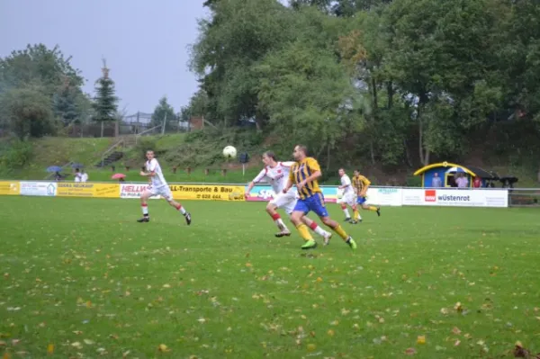 Punktspiel 2011 FSV - Langenfeld
