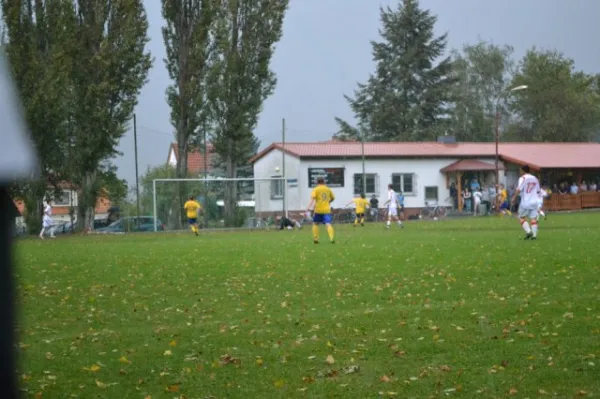 Punktspiel 2011 FSV - Langenfeld