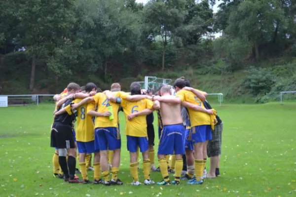 Punktspiel 2011 FSV - Langenfeld