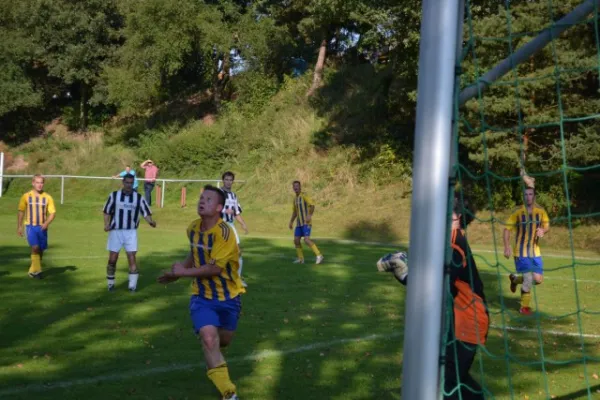 Punktspiel 2011 FSV - Wölferbütt