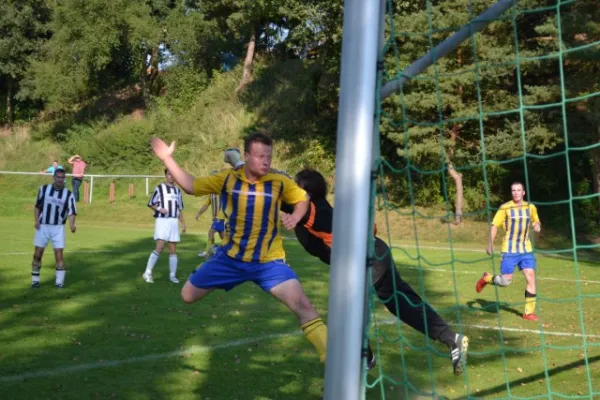 Punktspiel 2011 FSV - Wölferbütt