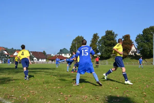 Punktspiel 2011 Kieselbach - FSV II