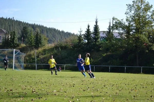 Punktspiel 2011 Kieselbach - FSV II