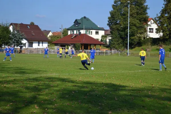 Punktspiel 2011 Kieselbach - FSV II
