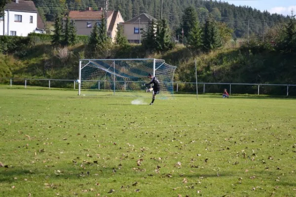 Punktspiel 2011 Kieselbach - FSV II