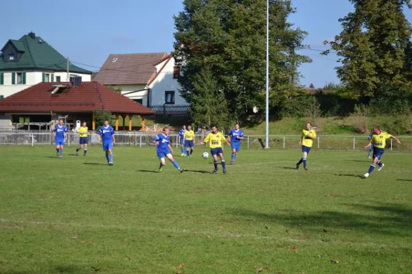 Punktspiel 2011 Kieselbach - FSV II