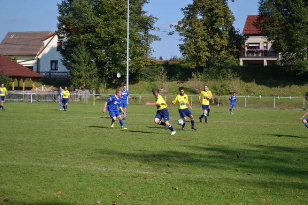 Punktspiel 2011 Kieselbach - FSV II