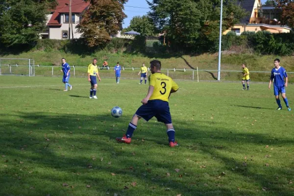 Punktspiel 2011 Kieselbach - FSV II