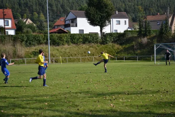 Punktspiel 2011 Kieselbach - FSV II