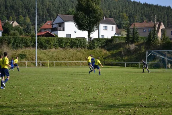 Punktspiel 2011 Kieselbach - FSV II