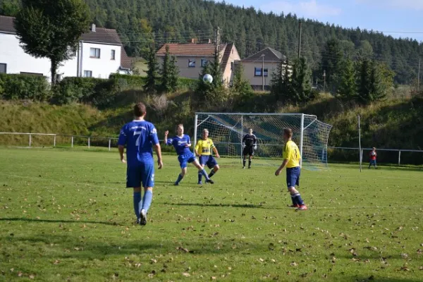 Punktspiel 2011 Kieselbach - FSV II