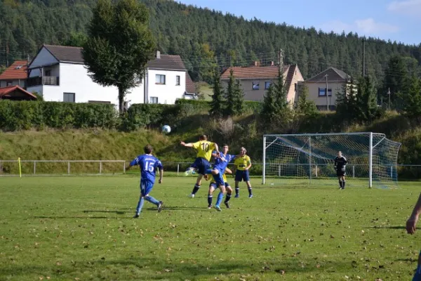 Punktspiel 2011 Kieselbach - FSV II
