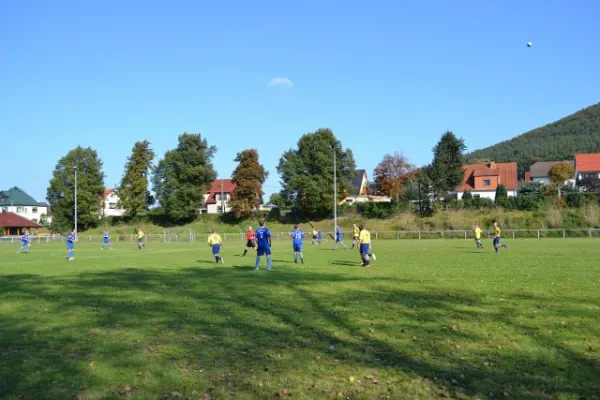 Punktspiel 2011 Kieselbach - FSV II