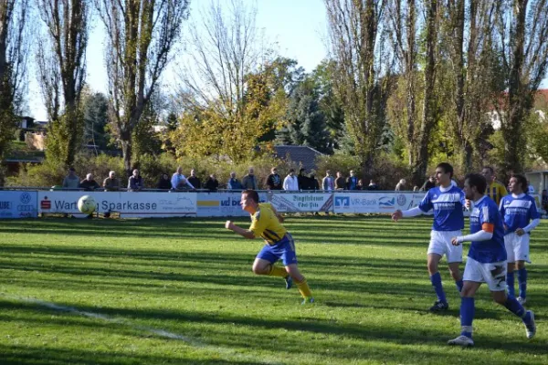 Punktspiel 2011 FSV - Barchfeld