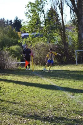 Punktspiel 2011 FSV - Barchfeld