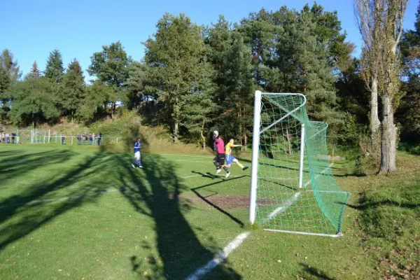 Punktspiel 2011 FSV - Barchfeld