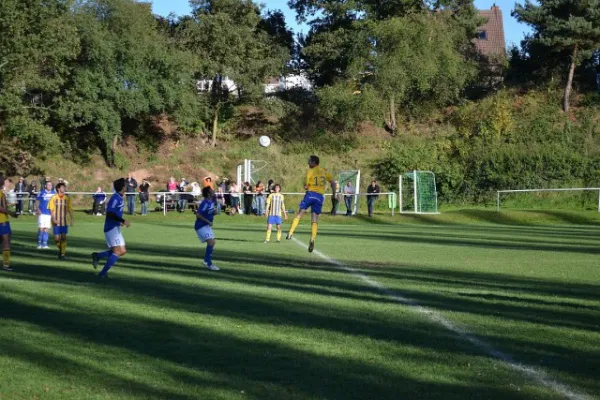 Punktspiel 2011 FSV - Barchfeld