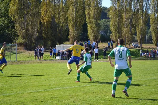 Punktspiel 2011 Immelborn - FSV