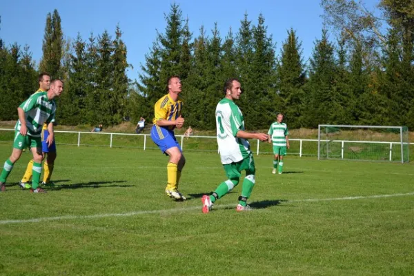 Punktspiel 2011 Immelborn - FSV